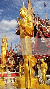 青岛律师 房地产 青岛律师 房地产